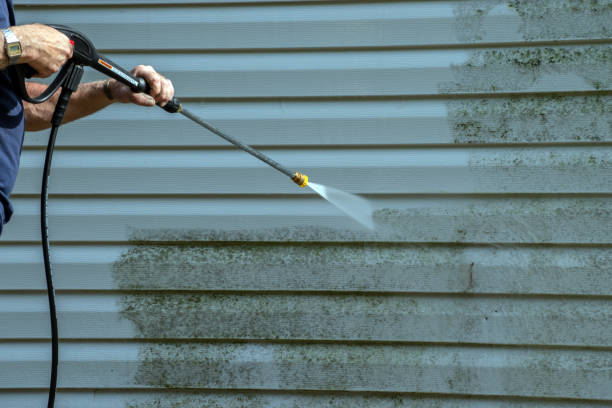 Best Sidewalk and Walkway Cleaning  in Glyndon, MN