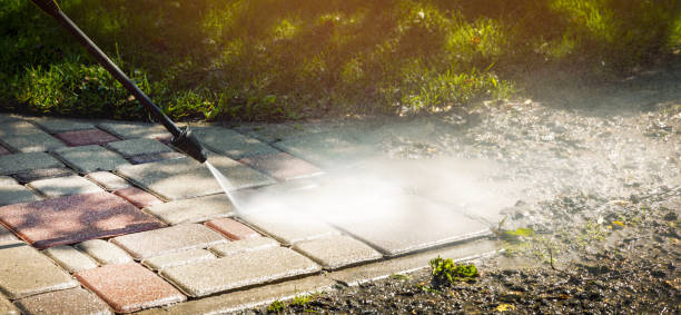 Best Animal Enclosure Cleaning  in Glyndon, MN